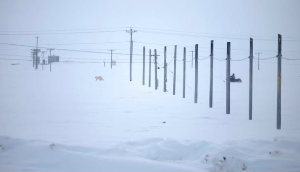Arctic ACTION Workshop Recap & UAF Blog Post