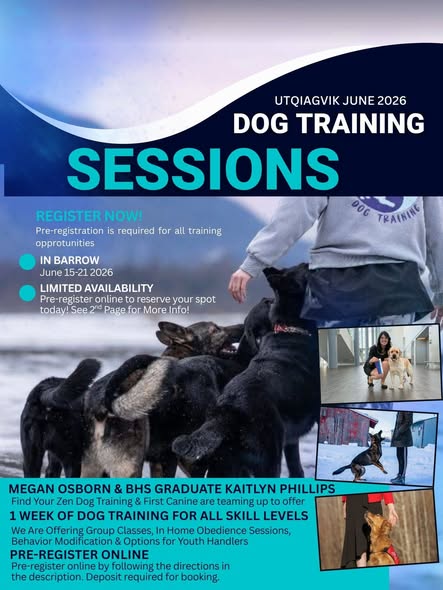 Utqiagvik Dog Training Sessions (2/3)