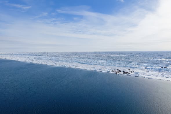Patience and Persistence on the Ice