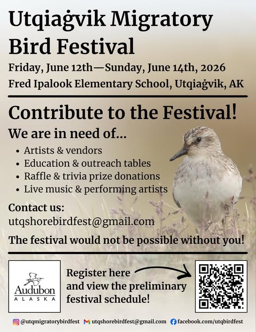 Utqiaġvik Migratory Bird Festival