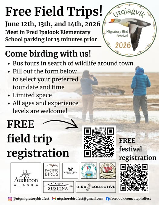 Free Birding Field Trips in Utqiaġvik (1/2)