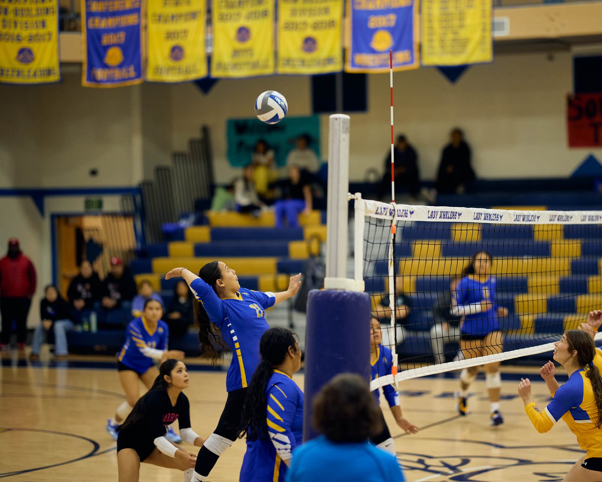 2026 Triangular Volleyball Tournament Recap (2/5)