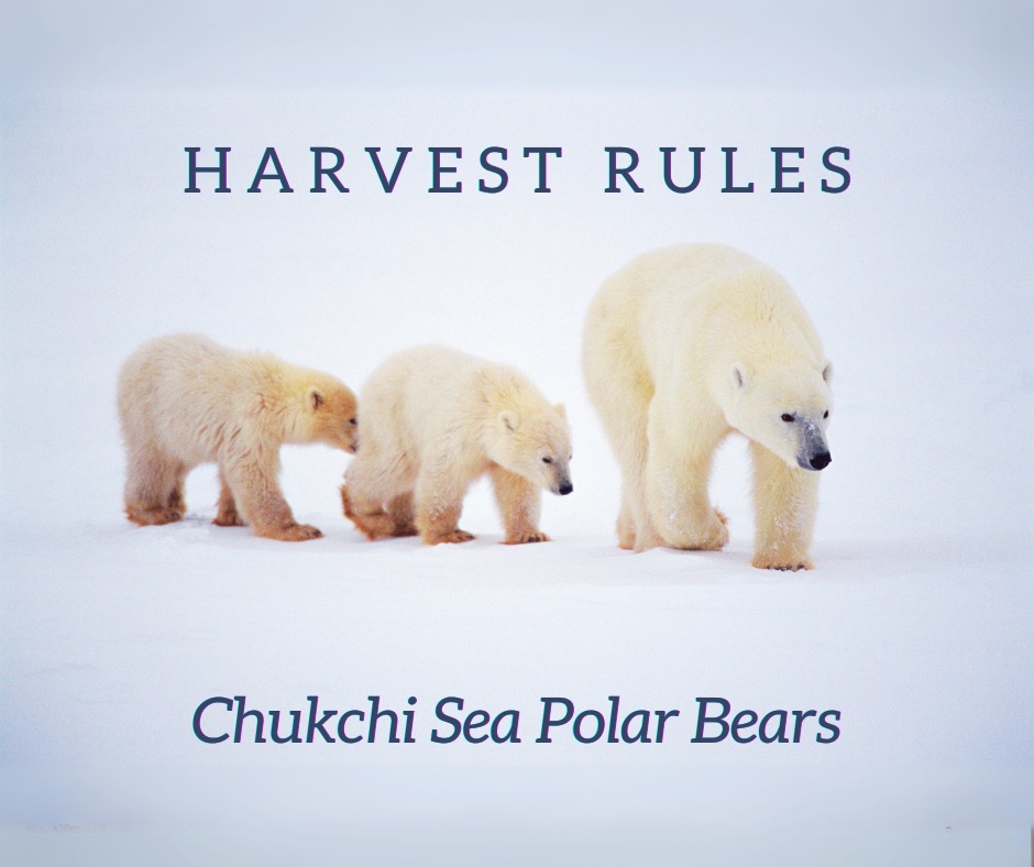 Harvest Rules for Chukchi Sea Polar Bears