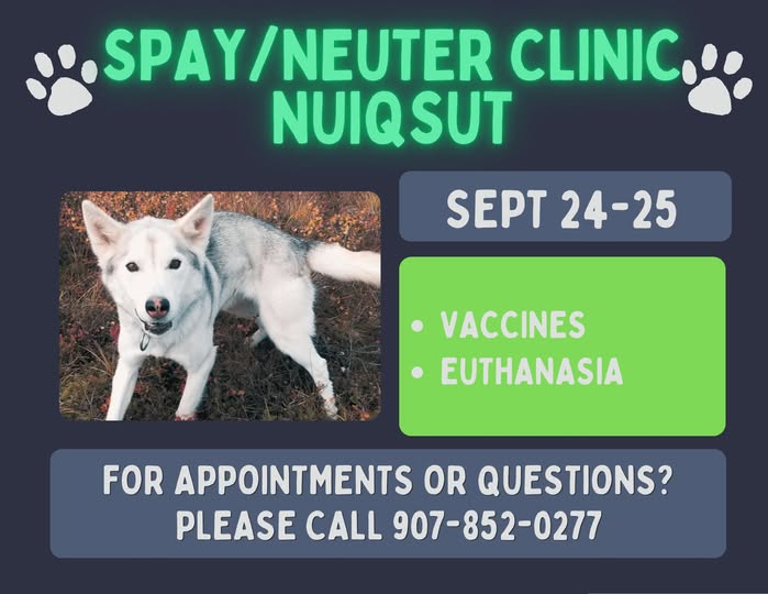 Spay/Neuter Clinic