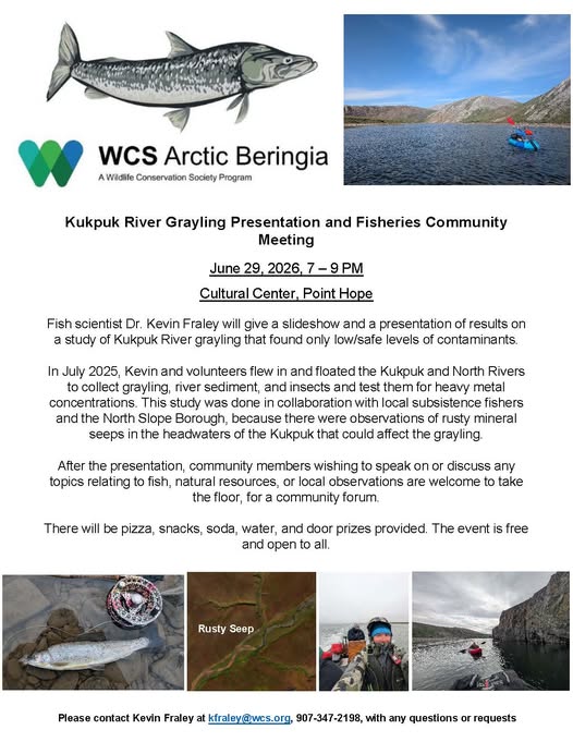 Kukpuk River Grayling Presentation and Fisheries Community Meeting