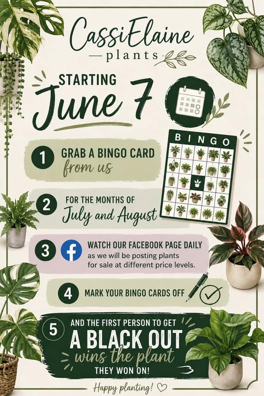 CassiElaine Plants Bingo Game (1/2)